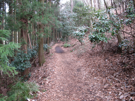 20160204hike (8)